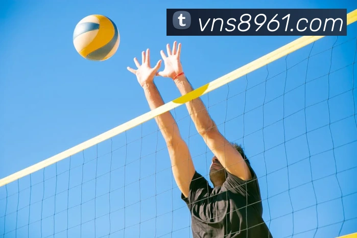 多媒体互动体验